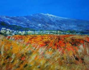 Vignes rousses sous le ciel bleu à Caromb