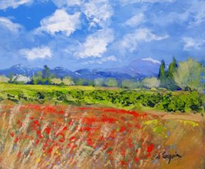 le fond d'Andiol au printemps