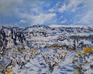 A RASTEAU,vignes sous la neige