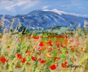 MONT VENTOUX le printemps